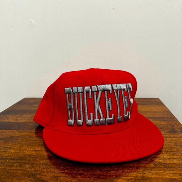 Other - Ohio State Buckeyes Snapback Hat